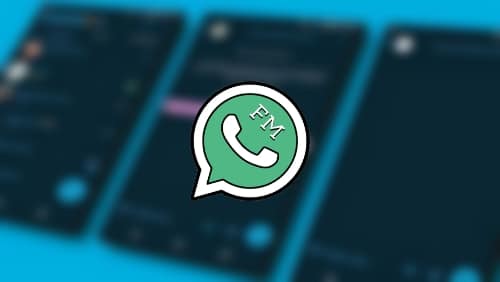 Review-Detail-Aplikasi-FM-Whatsapp