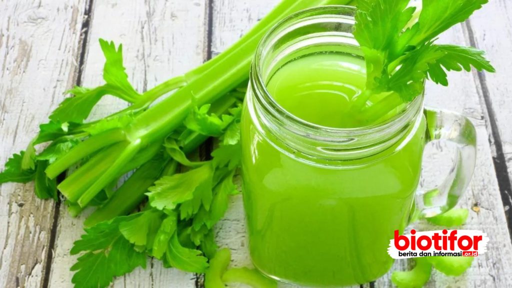 Manfaat Jus Seledri: Fakta atau Sekadar Tren?