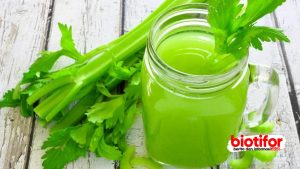 Manfaat Jus Seledri: Fakta atau Sekadar Tren?