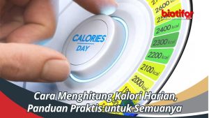 Panduan Lengkap: Cara Menghitung Kalori Harian Secara Akurat untuk Kesehatan Optimal