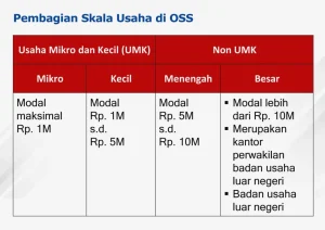 Memahami Perbedaan Bisnis Skala Mikro Dan Kecil Panduan Lengkap Untuk Pelaku Usaha