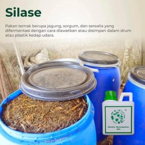 Mengoptimalkan Efisiensi Bisnis Peternakan Panduan Lengkap Pakan Silase Untuk Sapi