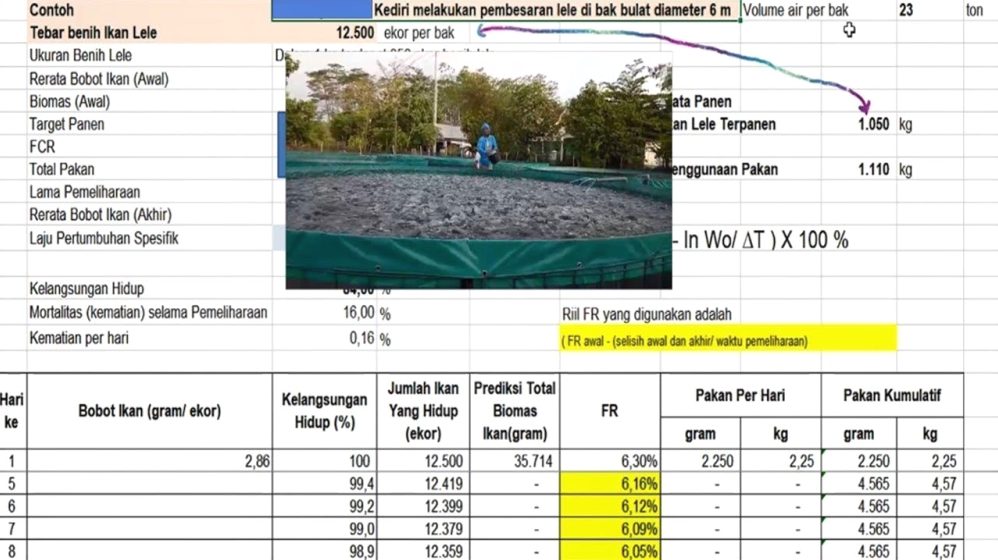 Panduan Lengkap Cara Menghitung Pakan Ternak Ikan Lele Untuk Efisiensi Bisnis
