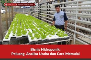 Peluang Emas Pertanian Modern Analisis Mengapa Bisnis Agribisnis Hidroponik Sangat Menjanjikan
